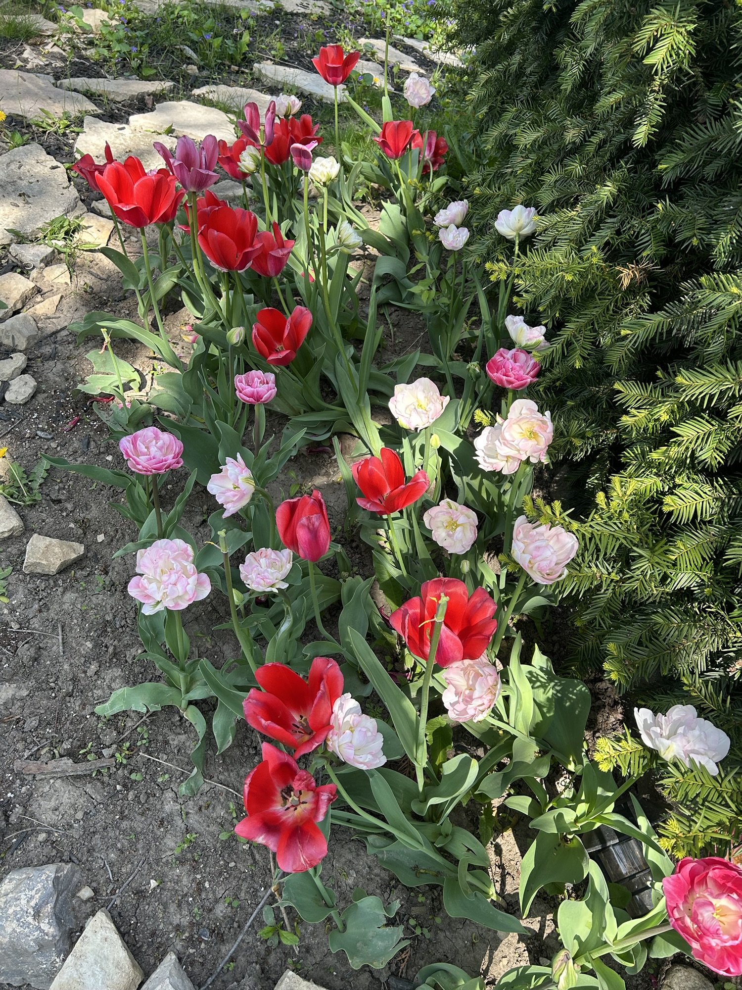 Test